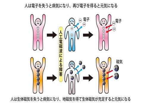 磁場 人間 影響|健康影響